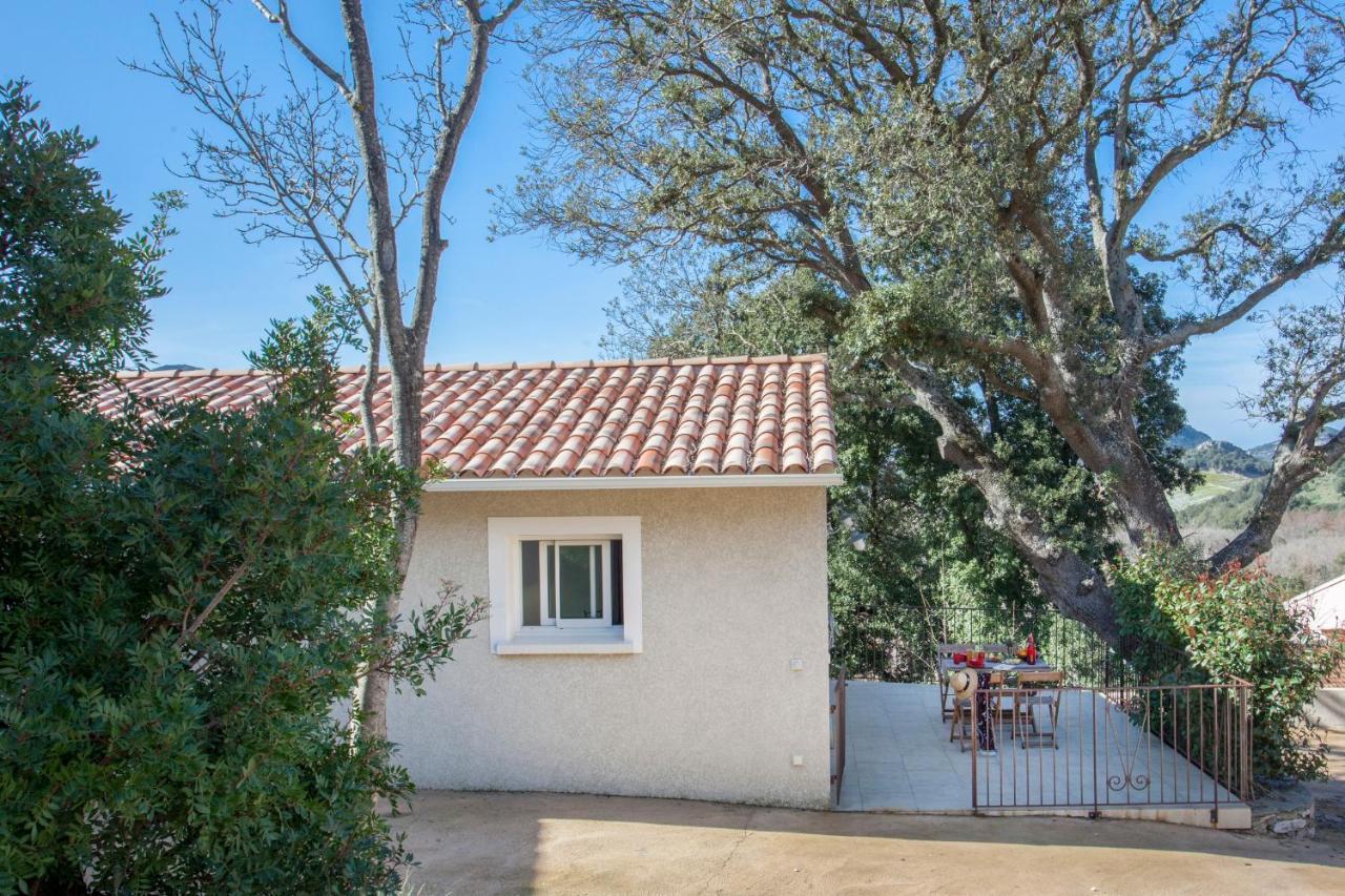 Ferienwohnung Domaine Ghjulia Patrimonio Exterior foto